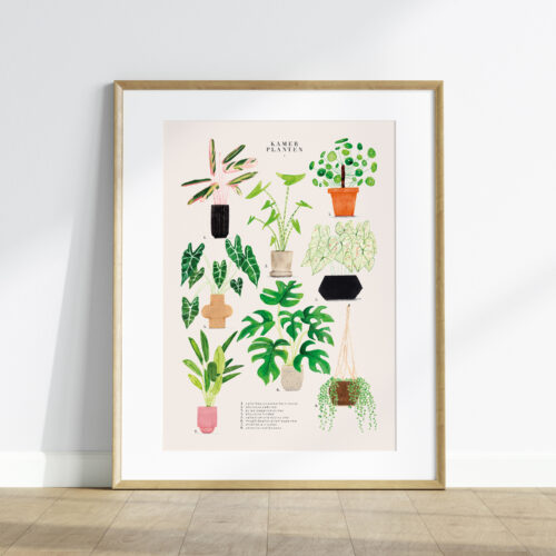 Poster: kamerplanten