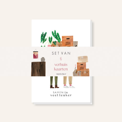 Set 6 verhuiskaarten